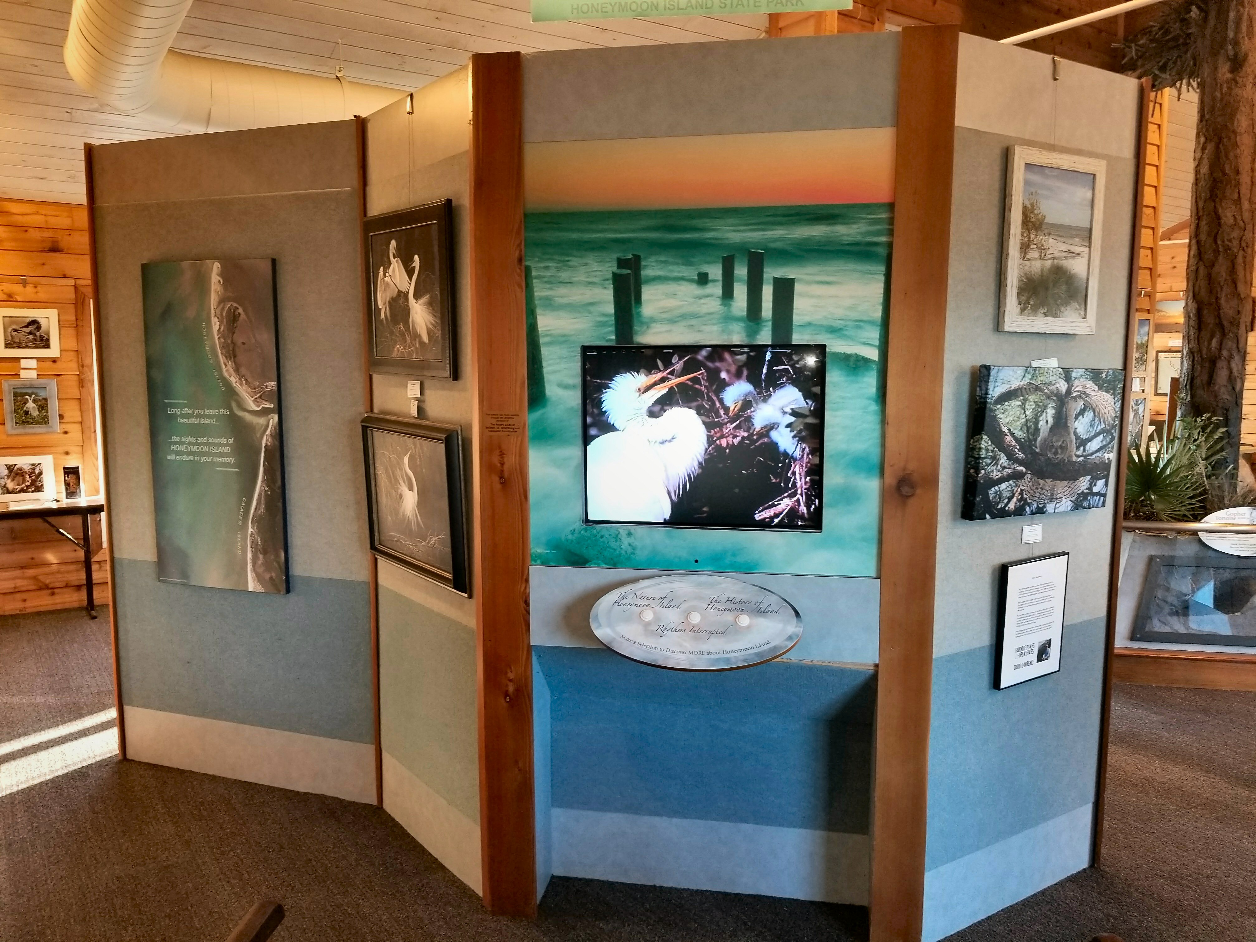 Artist - Lorraine Ulen - Osprey Artist - Lorraine Ulen - Osprey