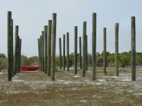Pilings are ready