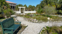 Native Plant Garden