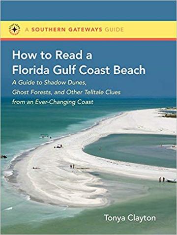 How to Read a Gulf Coast Beach
