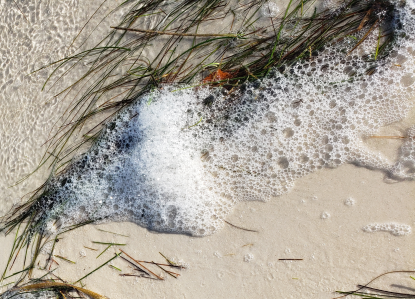 Sea Foam