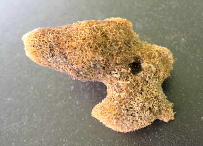 Wool Sponge